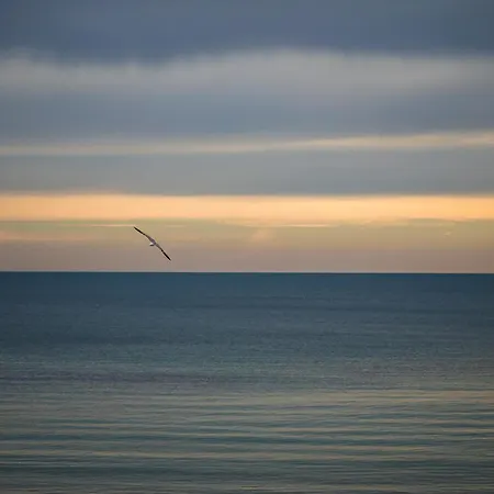 Lovely Art - Victory *