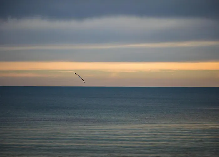 Lovely Art - Victory *